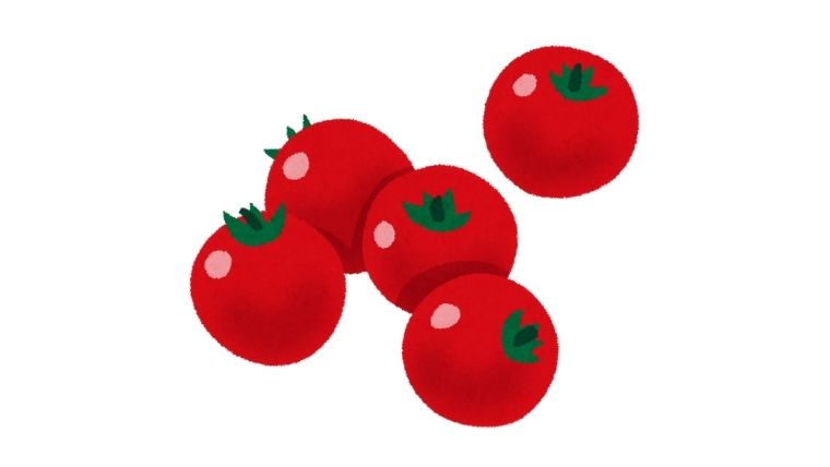 オイシックスお試しセット みつトマト でトマト嫌いを克服 グリーンマン8