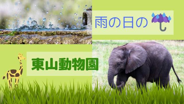 東山動物園 雨の日の楽しみ方 十分楽しめます グリーンマン８