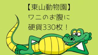 【東山動物園】 ワニのお腹に 硬貨330枚！