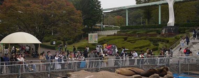 東山動物園 車で行くならこの駐車場に止めるべし 正門前駐車場がおすすめ グリーンマン８