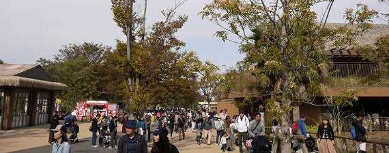 東山動物園 車で行くならこの駐車場に止めるべし 正門前駐車場がおすすめ グリーンマン８