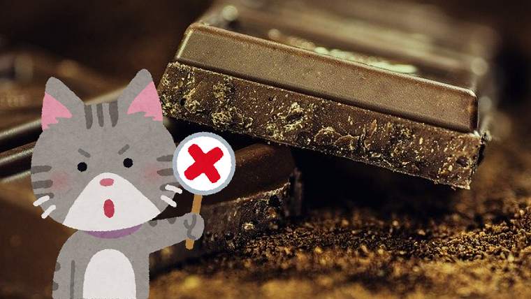 チョコレートの悪い噂