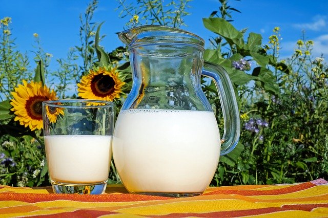 牛乳の写真1