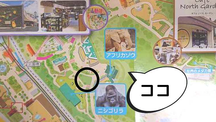 MAP-チンパンジー舎裏の芝生広場