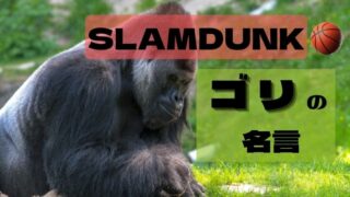 スラムダンク_ゴリの名言