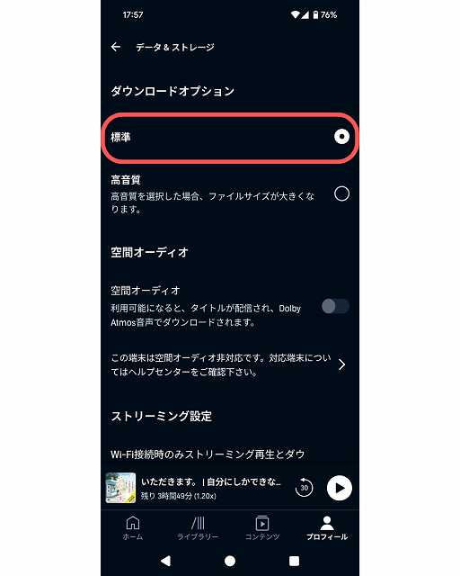 ダウンロードオプション