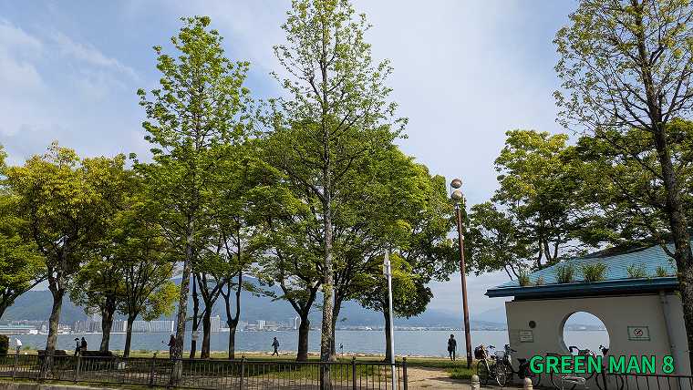 成瀬シリーズ_聖地巡礼_大津市の琵琶湖の見える風景