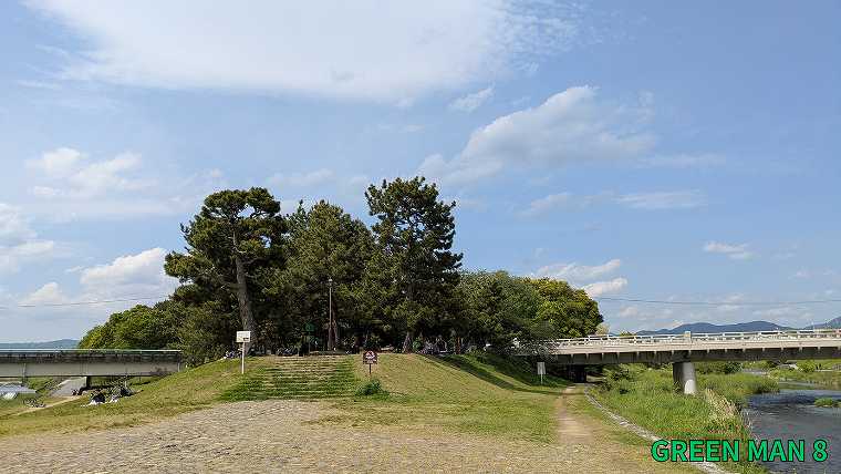 成瀬シリーズ_聖地巡礼_鴨川デルタから見た糺の森の写真
