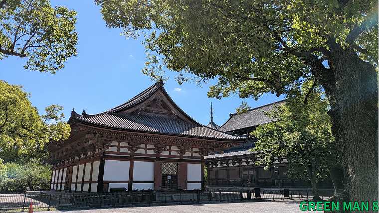 東寺_講堂の写真