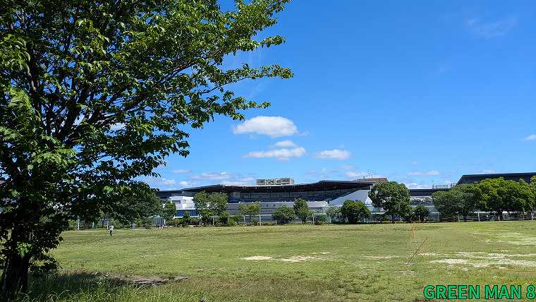梅小路公園_成瀬がけん玉の練習をする広大な芝生広場の写真