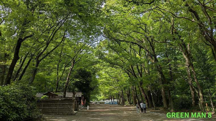 森見登美彦_聖地巡礼_03-3_下鴨神社_糺の森