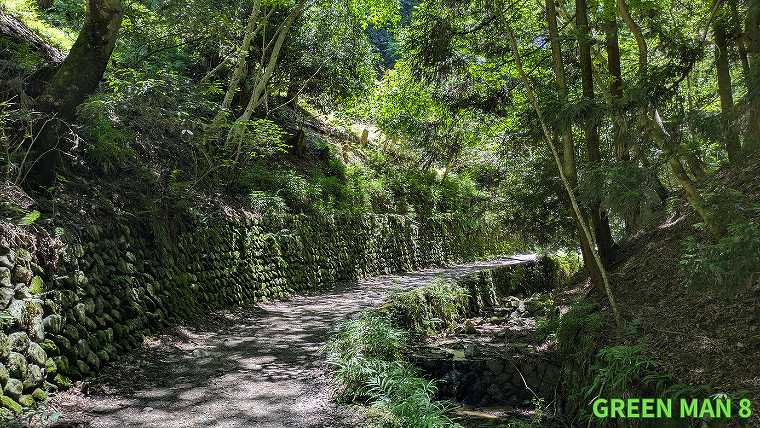 大文字山_右手に小川が流れる山道の写真