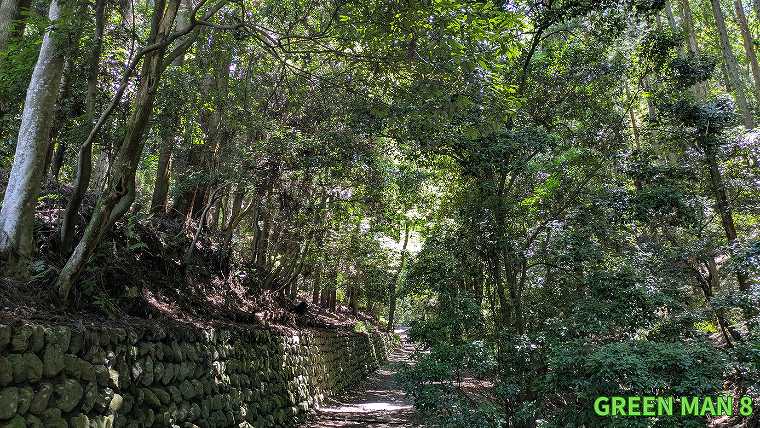 大文字山_木々のしげる山道の写真