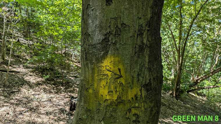 大文字山_木の幹に刻まれた矢印の写真